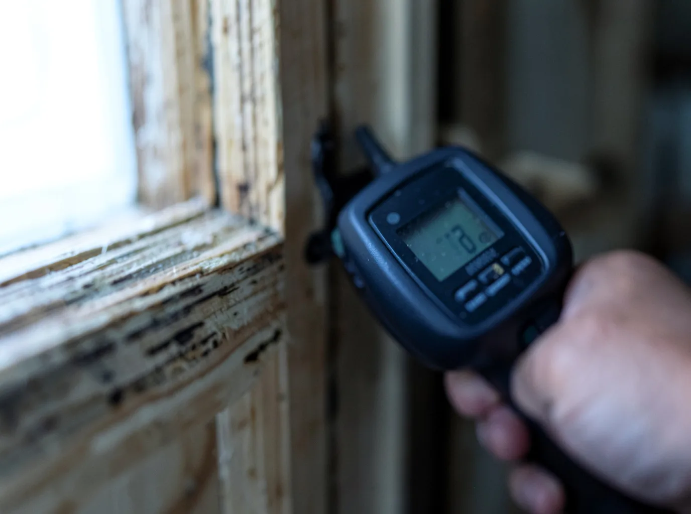 Moisture Inspection And Documentation in Withams, VA